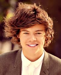 harry styles 1D