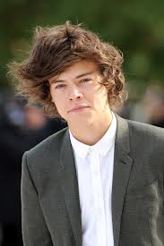 styles 1D